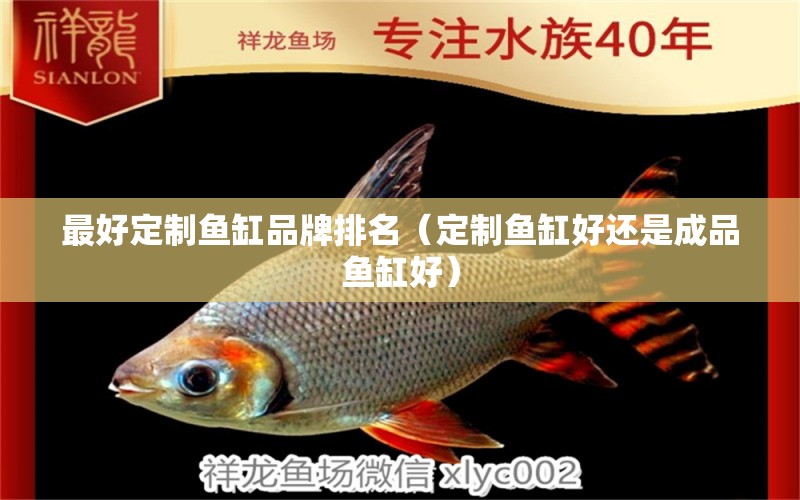 最好定制魚缸品牌排名（定制魚缸好還是成品魚缸好）