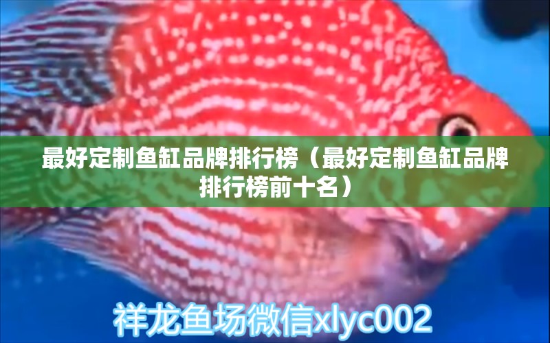 最好定制魚(yú)缸品牌排行榜（最好定制魚(yú)缸品牌排行榜前十名）