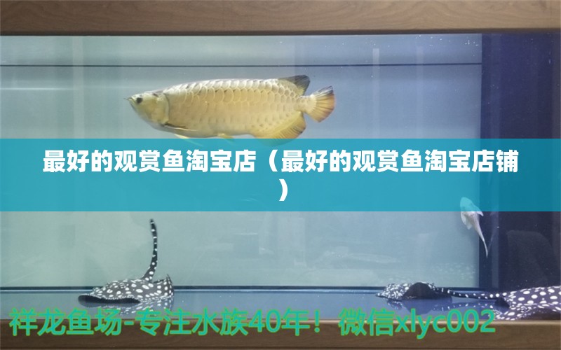 最好的觀賞魚(yú)淘寶店（最好的觀賞魚(yú)淘寶店鋪）