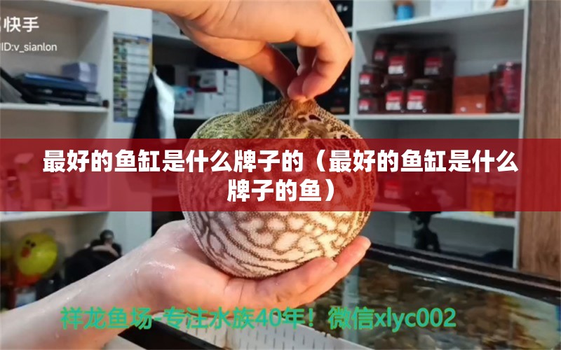 最好的魚缸是什么牌子的（最好的魚缸是什么牌子的魚）