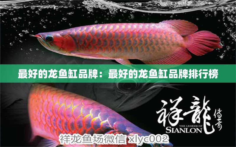 最好的龍魚缸品牌：最好的龍魚缸品牌排行榜