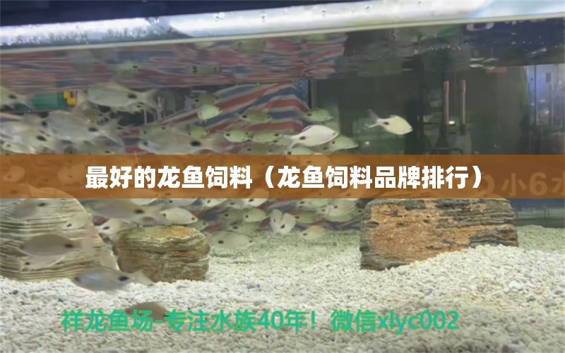 最好的龍魚飼料（龍魚飼料品牌排行） 龍魚百科 第2張