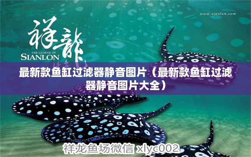 最新款魚缸過濾器靜音圖片（最新款魚缸過濾器靜音圖片大全）