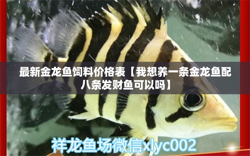 最新金龍魚飼料價(jià)格表【我想養(yǎng)一條金龍魚配八條發(fā)財(cái)魚可以嗎】 龍魚批發(fā)