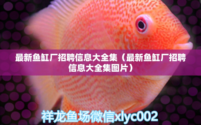 最新魚缸廠招聘信息大全集（最新魚缸廠招聘信息大全集圖片）