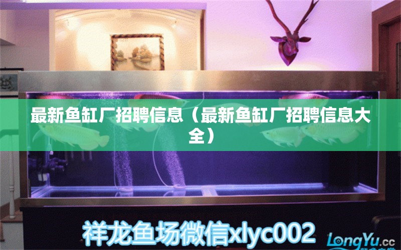 最新魚缸廠招聘信息（最新魚缸廠招聘信息大全）