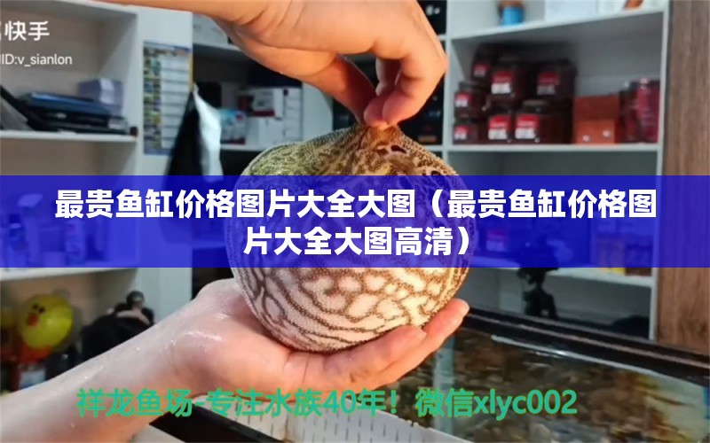 最貴魚缸價格圖片大全大圖（最貴魚缸價格圖片大全大圖高清） 祥龍水族醫(yī)院