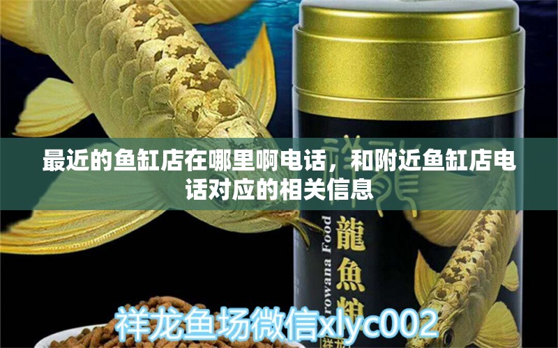 最近的魚缸店在哪里啊電話，和附近魚缸店電話對應(yīng)的相關(guān)信息 印尼小紅龍