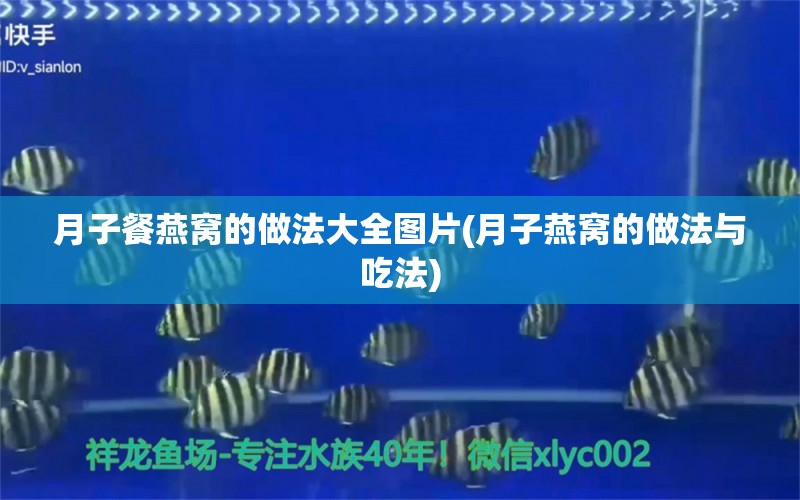 月子餐燕窩的做法大全圖片(月子燕窩的做法與吃法) 馬來西亞燕窩 第1張