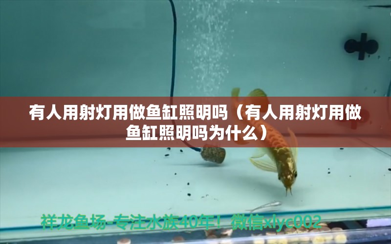 有人用射燈用做魚缸照明嗎（有人用射燈用做魚缸照明嗎為什么） 祥龍水族醫(yī)院