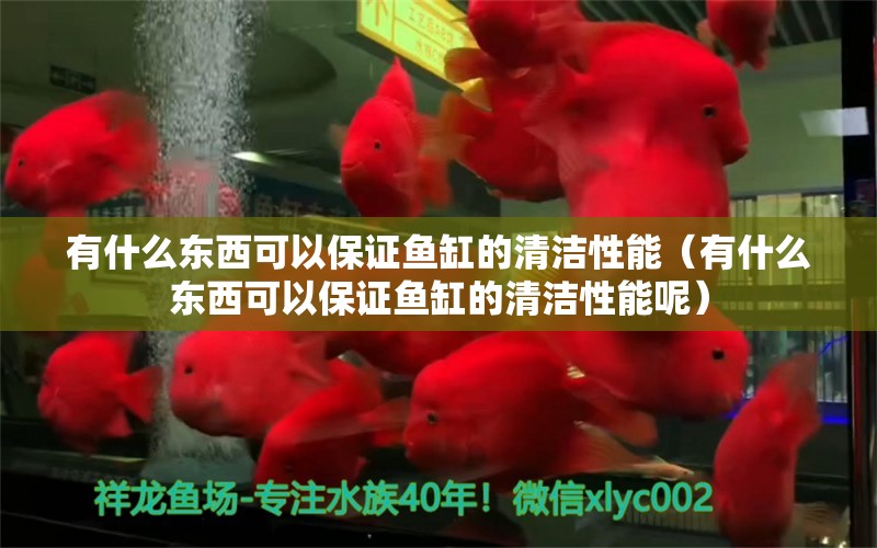 有什么東西可以保證魚缸的清潔性能（有什么東西可以保證魚缸的清潔性能呢）