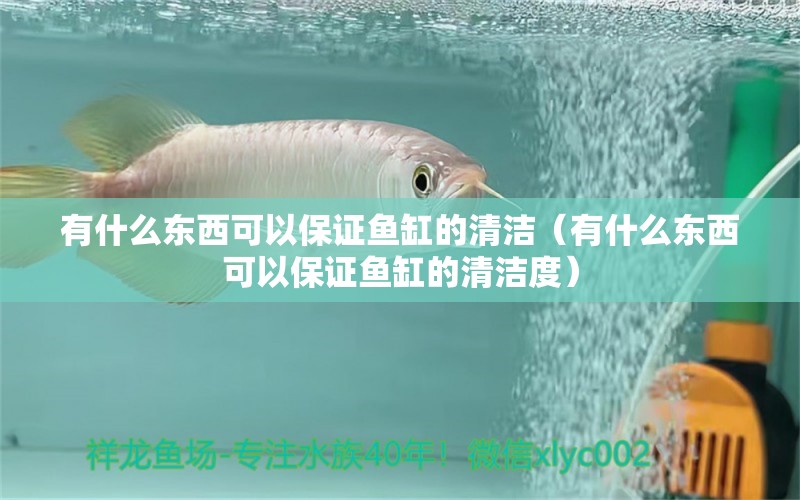 有什么東西可以保證魚缸的清潔（有什么東西可以保證魚缸的清潔度）