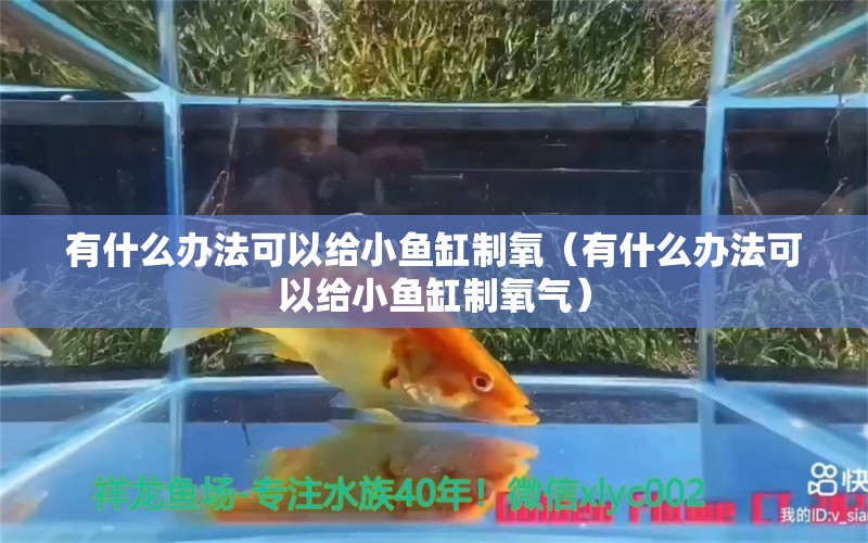 有什么辦法可以給小魚(yú)缸制氧（有什么辦法可以給小魚(yú)缸制氧氣）