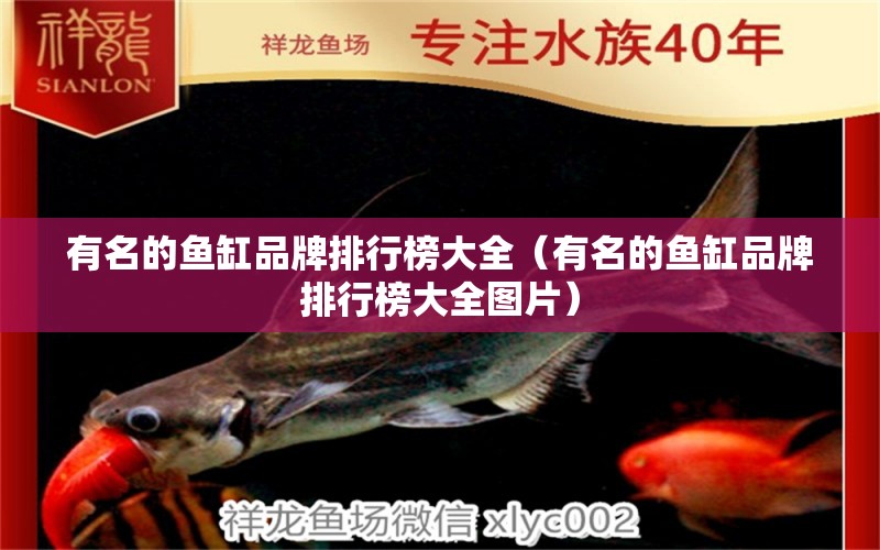 有名的魚缸品牌排行榜大全（有名的魚缸品牌排行榜大全圖片）