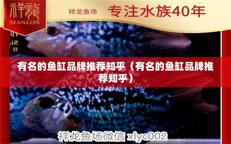 有名的魚缸品牌推薦知乎（有名的魚缸品牌推薦知乎）