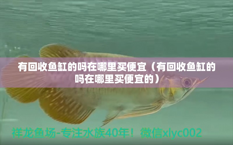 有回收魚缸的嗎在哪里買便宜（有回收魚缸的嗎在哪里買便宜的）