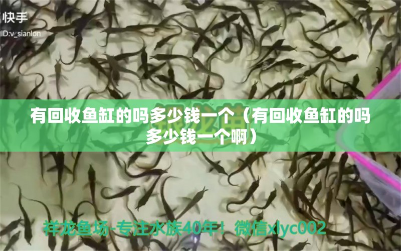 有回收魚缸的嗎多少錢一個（有回收魚缸的嗎多少錢一個?。? title=