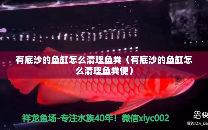 有底沙的魚(yú)缸怎么清理魚(yú)糞（有底沙的魚(yú)缸怎么清理魚(yú)糞便）