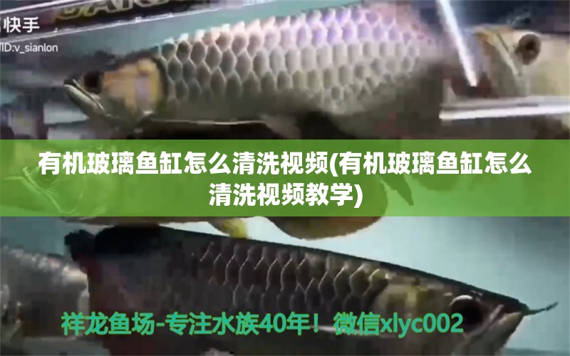 有機(jī)玻璃魚缸怎么清洗視頻(有機(jī)玻璃魚缸怎么清洗視頻教學(xué)) 沖氧泵 第1張