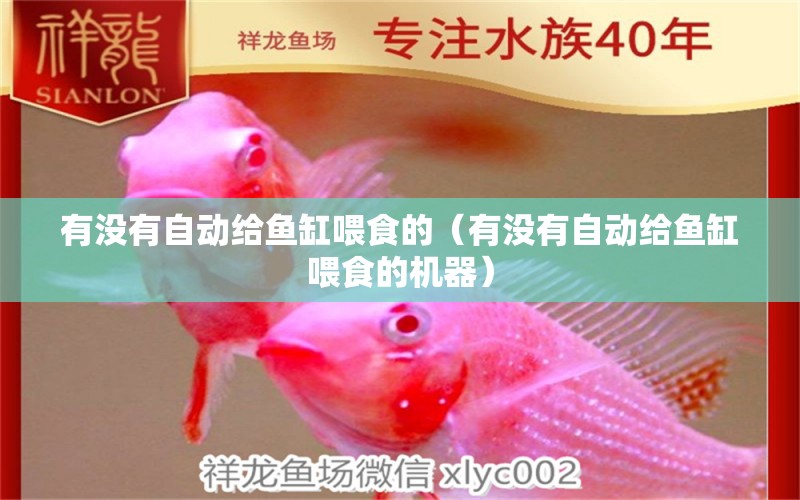 有沒有自動(dòng)給魚缸喂食的（有沒有自動(dòng)給魚缸喂食的機(jī)器）