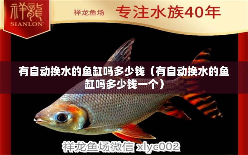 有自動(dòng)換水的魚缸嗎多少錢（有自動(dòng)換水的魚缸嗎多少錢一個(gè)） 白寫錦鯉魚