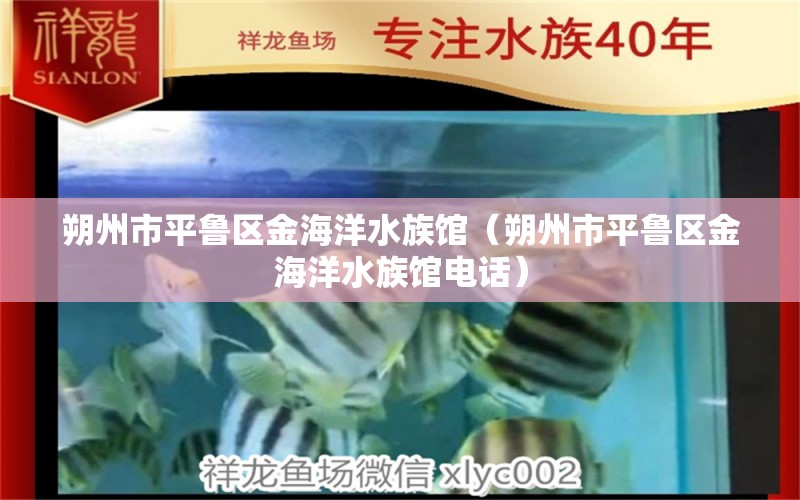 朔州市平魯區(qū)金海洋水族館（朔州市平魯區(qū)金海洋水族館電話） 全國水族館企業(yè)名錄