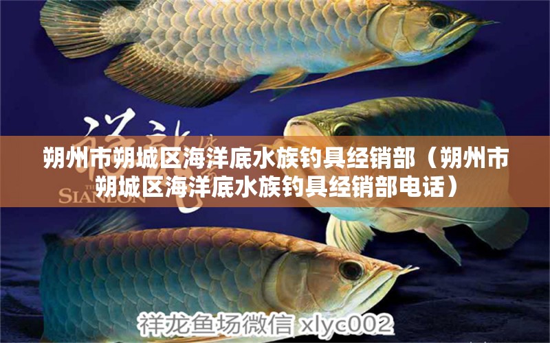 朔州市朔城區(qū)海洋底水族釣具經(jīng)銷部（朔州市朔城區(qū)海洋底水族釣具經(jīng)銷部電話）