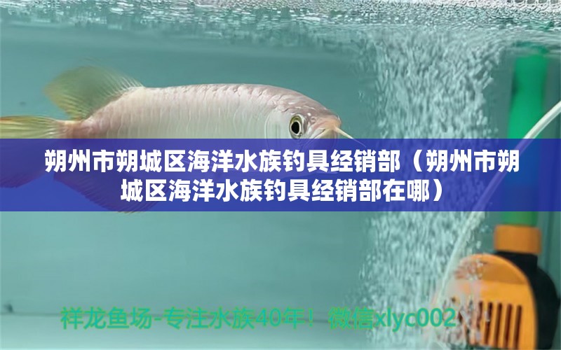 朔州市朔城區(qū)海洋水族釣具經(jīng)銷部（朔州市朔城區(qū)海洋水族釣具經(jīng)銷部在哪） 垂釣樂園