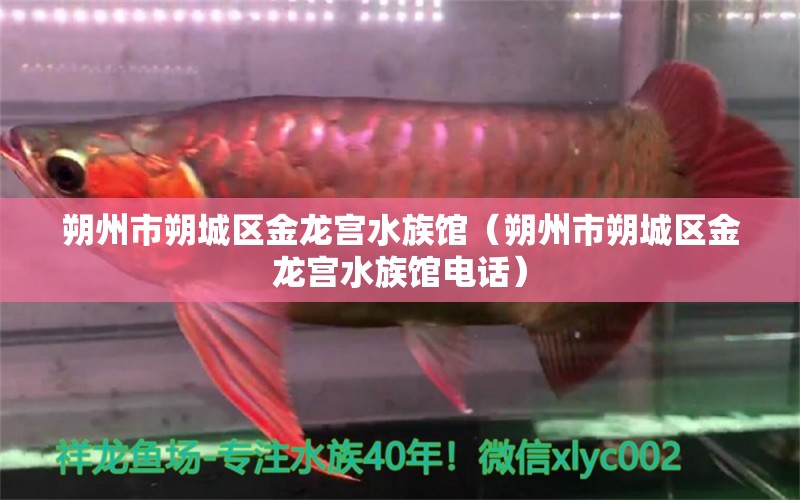 朔州市朔城區(qū)金龍宮水族館（朔州市朔城區(qū)金龍宮水族館電話）