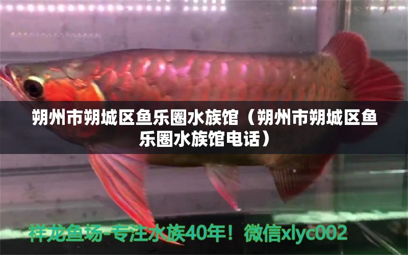 朔州市朔城區(qū)魚樂圈水族館（朔州市朔城區(qū)魚樂圈水族館電話）