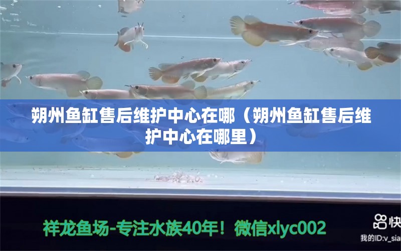 朔州魚(yú)缸售后維護(hù)中心在哪（朔州魚(yú)缸售后維護(hù)中心在哪里）