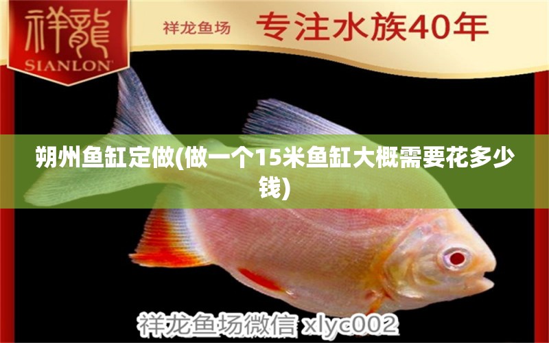 朔州魚缸定做(做一個15米魚缸大概需要花多少錢) 魚缸百科