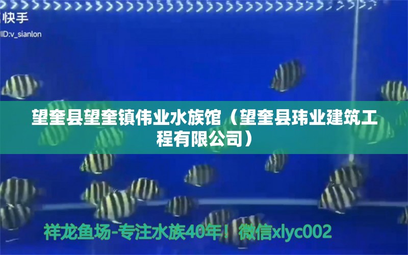 望奎縣望奎鎮(zhèn)偉業(yè)水族館（望奎縣瑋業(yè)建筑工程有限公司）