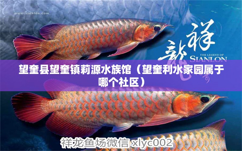 望奎縣望奎鎮(zhèn)莉源水族館（望奎利水家園屬于哪個(gè)社區(qū)）