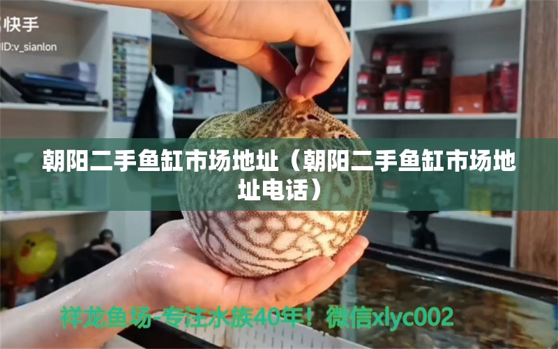 朝陽二手魚缸市場地址（朝陽二手魚缸市場地址電話） 其他品牌魚缸