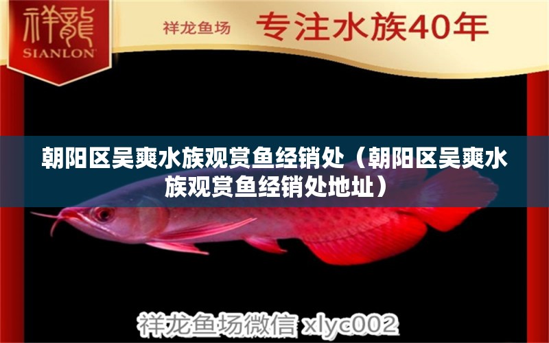 朝陽區(qū)吳爽水族觀賞魚經銷處（朝陽區(qū)吳爽水族觀賞魚經銷處地址）