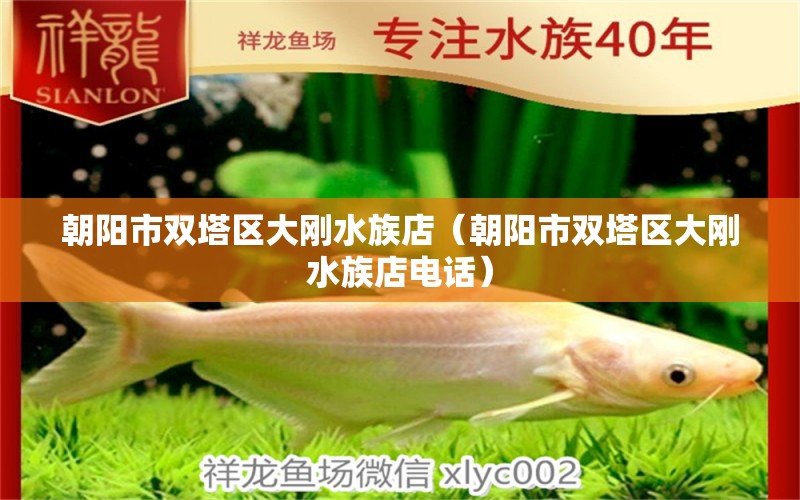 朝陽(yáng)市雙塔區(qū)大剛水族店（朝陽(yáng)市雙塔區(qū)大剛水族店電話）