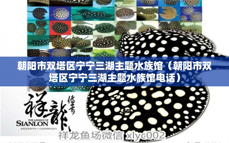 朝陽(yáng)市雙塔區(qū)寧寧三湖主題水族館（朝陽(yáng)市雙塔區(qū)寧寧三湖主題水族館電話）