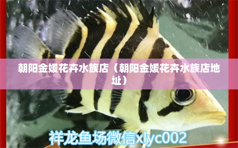 朝陽金媛花卉水族店（朝陽金媛花卉水族店地址） 全國水族館企業(yè)名錄