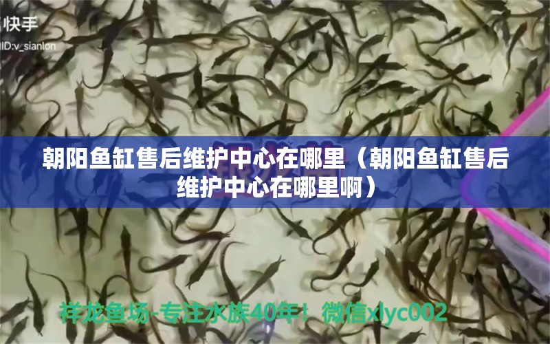 朝陽(yáng)魚(yú)缸售后維護(hù)中心在哪里（朝陽(yáng)魚(yú)缸售后維護(hù)中心在哪里?。? title=