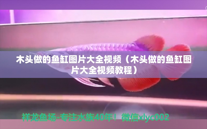 木頭做的魚缸圖片大全視頻（木頭做的魚缸圖片大全視頻教程）