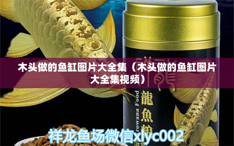 木頭做的魚缸圖片大全集（木頭做的魚缸圖片大全集視頻） 其他品牌魚缸