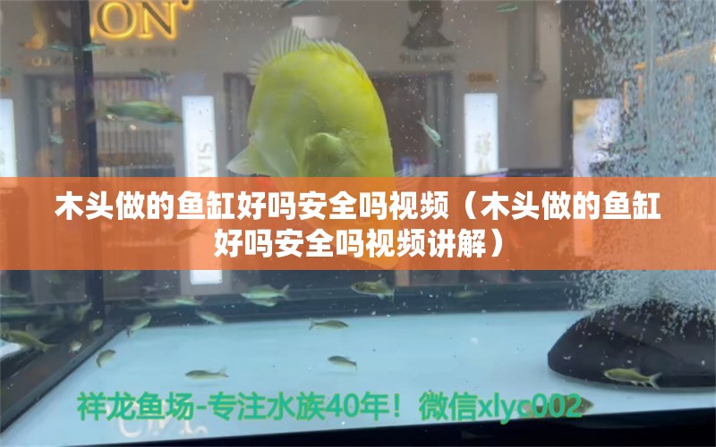 木頭做的魚缸好嗎安全嗎視頻（木頭做的魚缸好嗎安全嗎視頻講解） 其他品牌魚缸