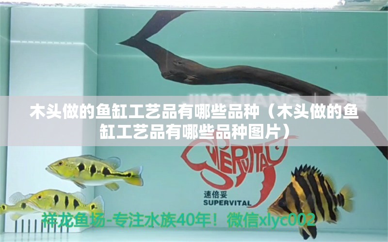 木頭做的魚缸工藝品有哪些品種（木頭做的魚缸工藝品有哪些品種圖片） 其他品牌魚缸