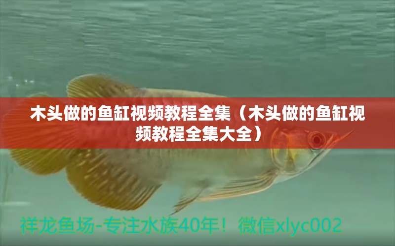 木頭做的魚缸視頻教程全集（木頭做的魚缸視頻教程全集大全） 其他品牌魚缸