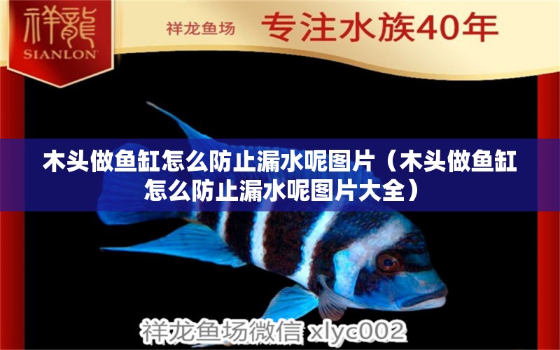 木頭做魚缸怎么防止漏水呢圖片（木頭做魚缸怎么防止漏水呢圖片大全）