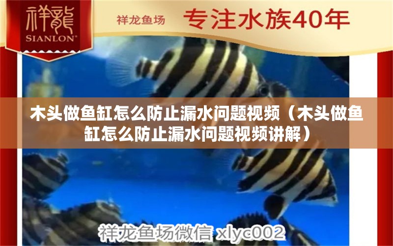 木頭做魚缸怎么防止漏水問題視頻（木頭做魚缸怎么防止漏水問題視頻講解）