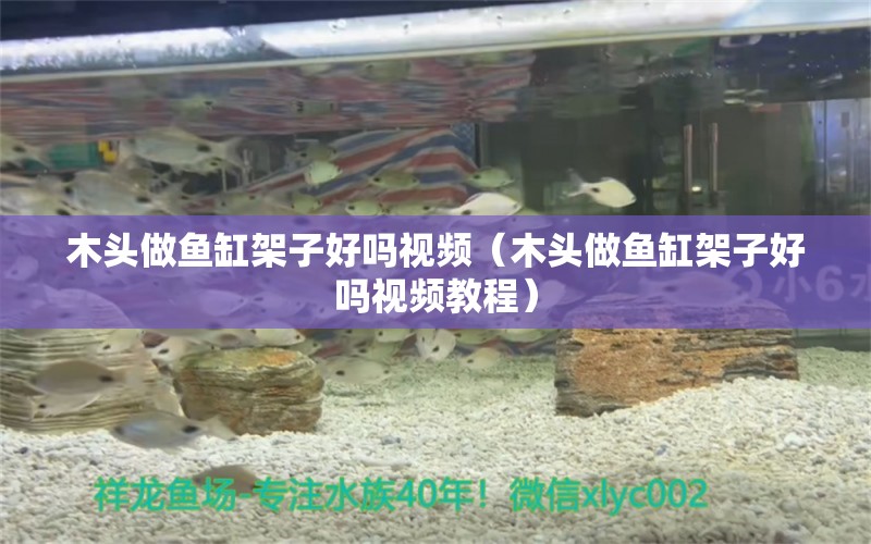 木頭做魚缸架子好嗎視頻（木頭做魚缸架子好嗎視頻教程）