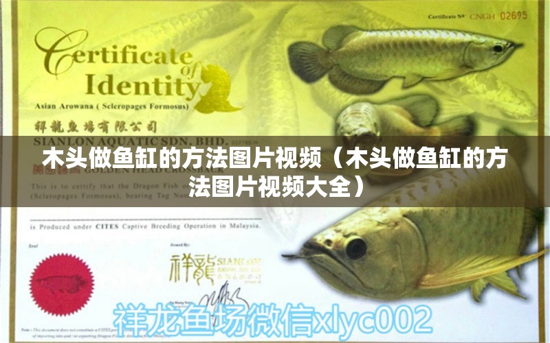 木頭做魚(yú)缸的方法圖片視頻（木頭做魚(yú)缸的方法圖片視頻大全）