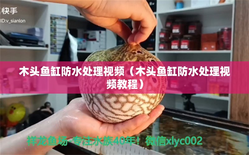 木頭魚缸防水處理視頻（木頭魚缸防水處理視頻教程）